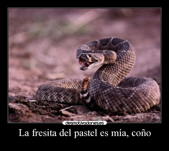 La fresita del pastel es mía, coño -