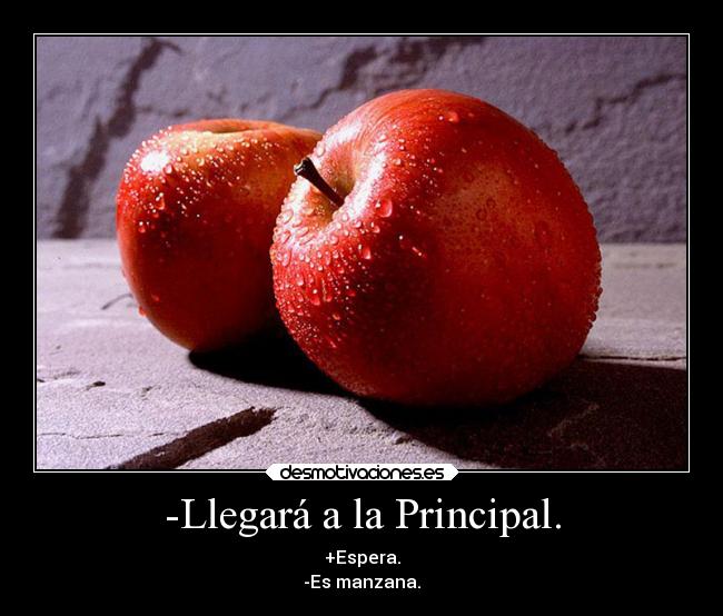 carteles comida tk73 nooslotomeisenserioprofavor xddd manzana enla principal cartel yuyu kai kaizer desmotivaciones