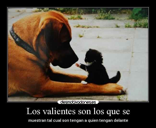 Los valientes son los que se - 