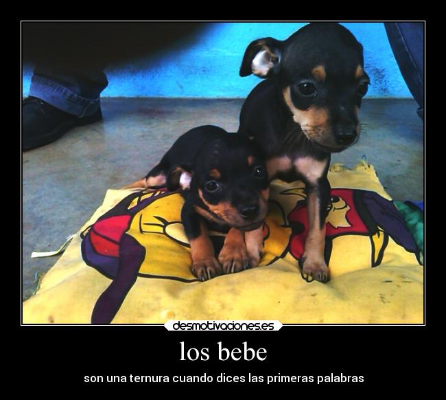 los bebe - son una ternura cuando dices las primeras palabras