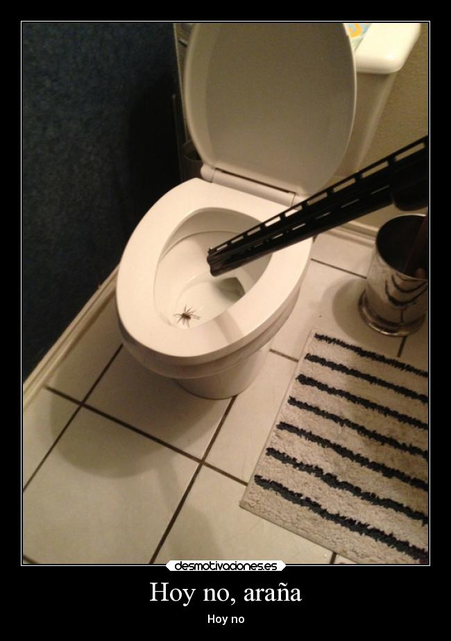 Hoy no, araña - 