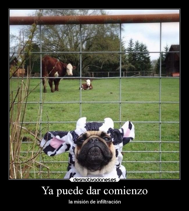 Ya puede dar comienzo -