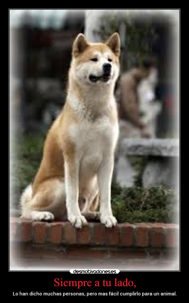 Siempre a tu lado, -