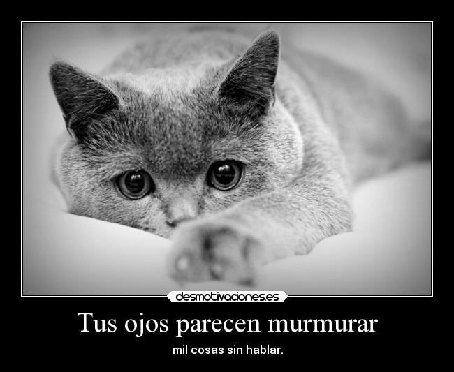 Tus ojos parecen murmurar - 