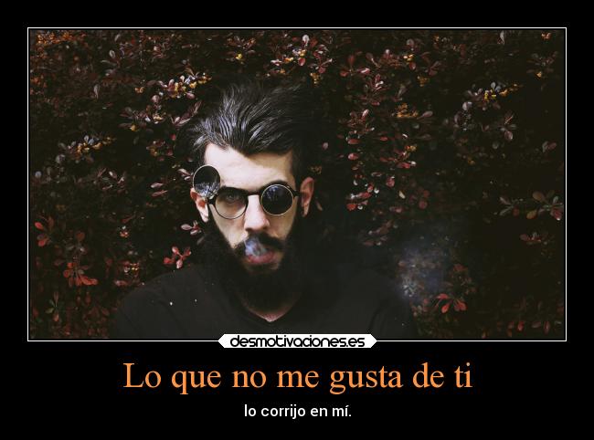 carteles criticas desmotivaciones