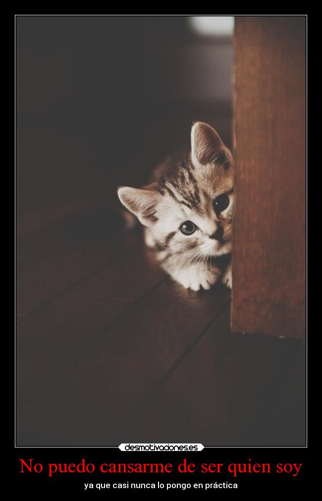 carteles debilidad amor desmotivaciones