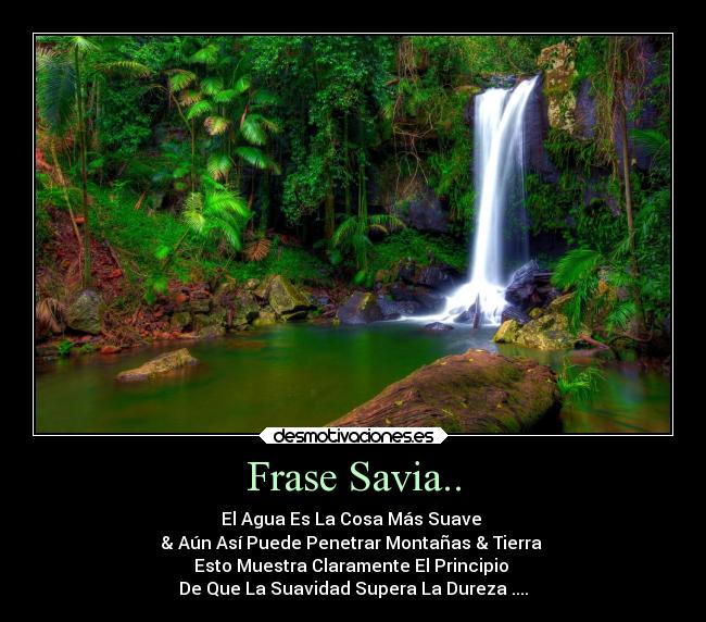 Frase Savia.. - El Agua Es La Cosa Más Suave
& Aún Así Puede Penetrar Montañas & Tierra
Esto Muestra Claramente El Principio
De Que La Suavidad Supera La Dureza ....