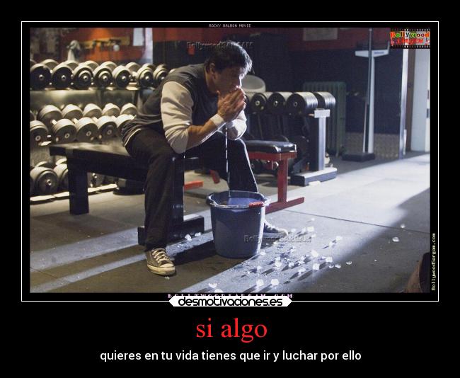 si algo - quieres en tu vida tienes que ir y luchar por ello