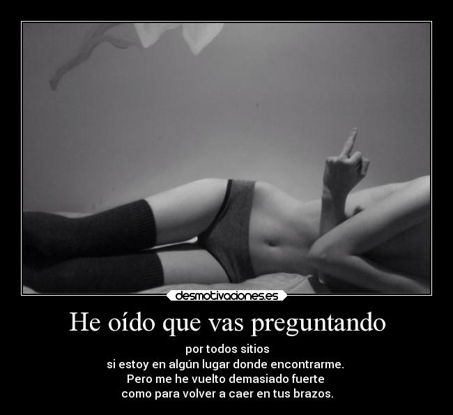 carteles desamor amor perri desmotivaciones