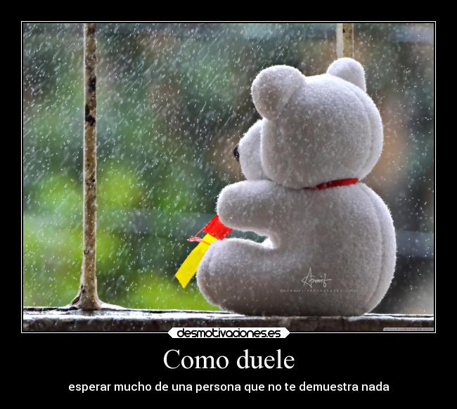 Como duele - 