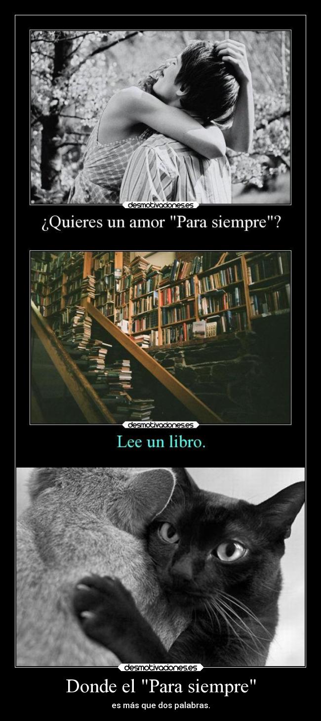 Donde el Para siempre -