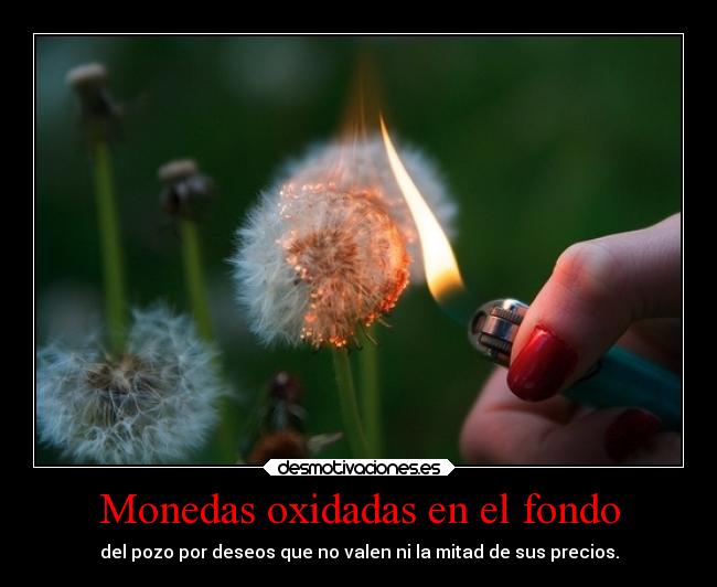 Monedas oxidadas en el fondo - 