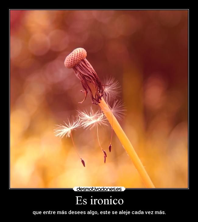 Es ironico - 