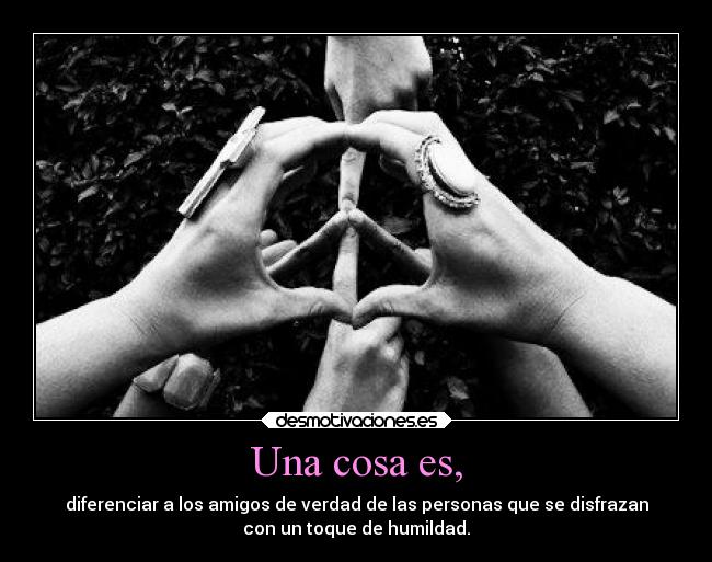 Una cosa es, - diferenciar a los amigos de verdad de las personas que se disfrazan
con un toque de humildad.