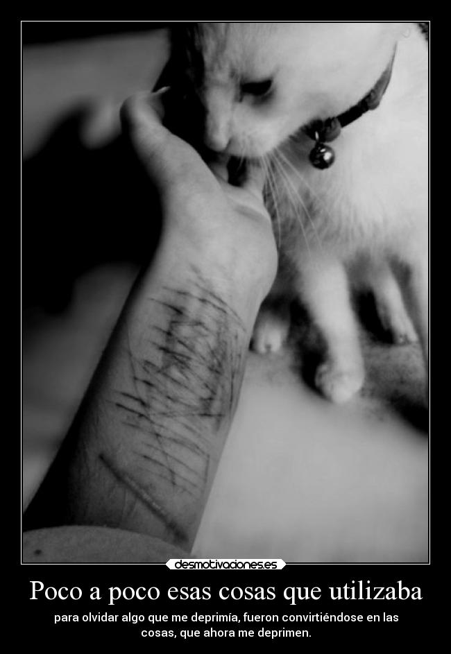 carteles desmotivaciones desmotivaciones