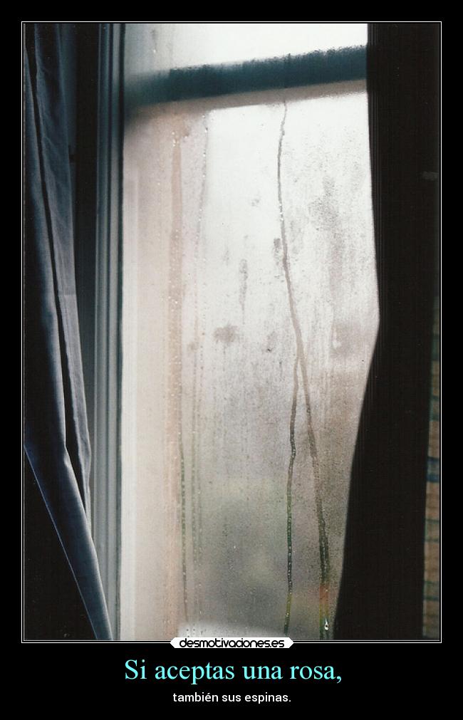 carteles desmotivaciones desmotivaciones