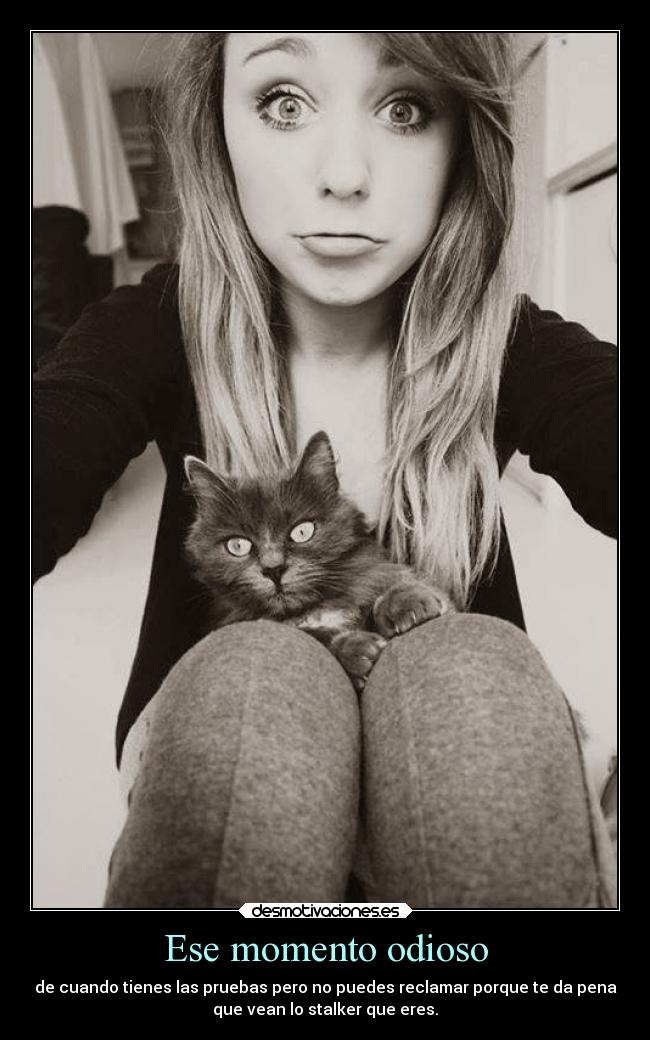 Ese momento odioso - de cuando tienes las pruebas pero no puedes reclamar porque te da pena
que vean lo stalker que eres.