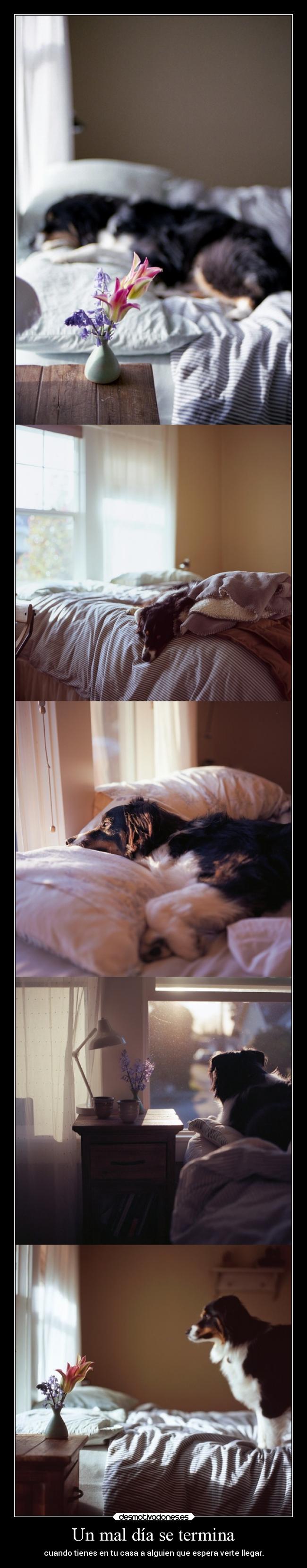 Un mal día se termina - 