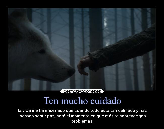 carteles desmotivaciones yaestoyparanoica disculpensinolesgustaelcartel esloquesiento desmotivaciones