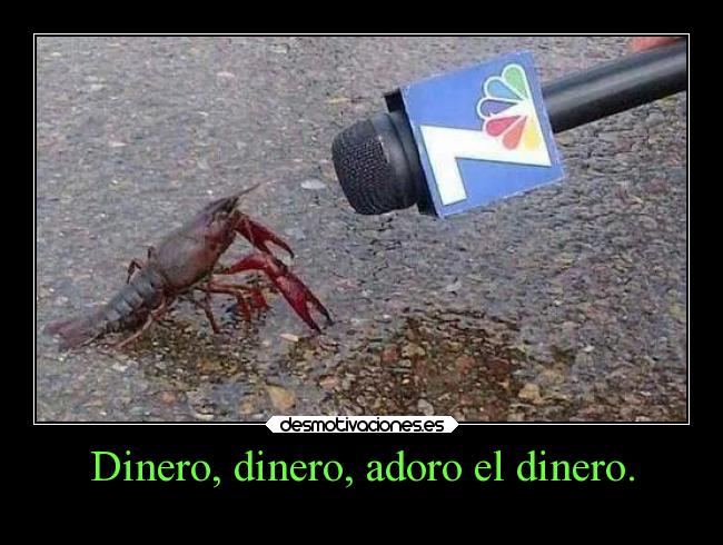 carteles dinero dinero dinero dinero animales humor don cangrejo bob esponja desmotivaciones