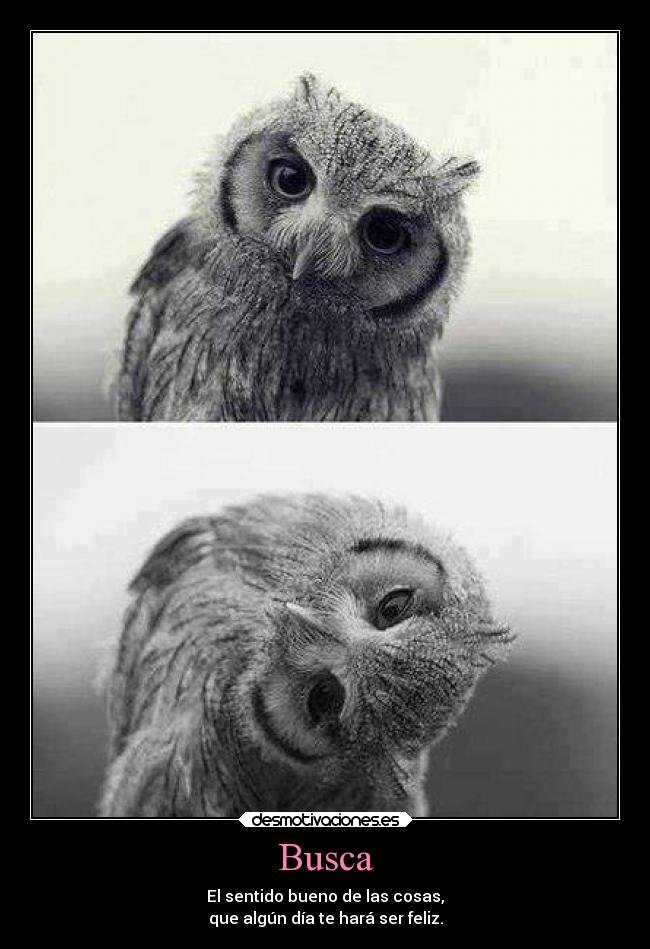 Busca - El sentido bueno de las cosas,
que algún día te hará ser feliz.