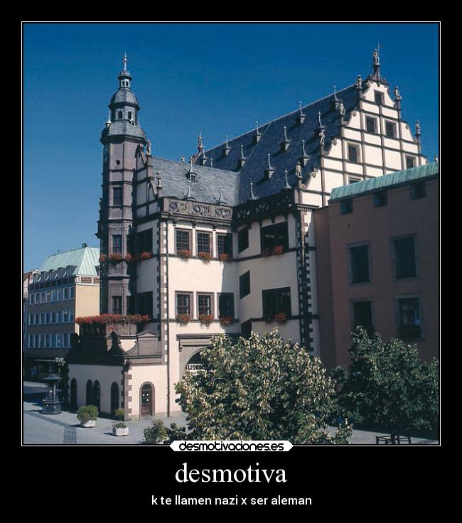 desmotiva - k te llamen nazi x ser aleman