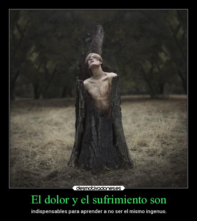 El dolor y el sufrimiento son -