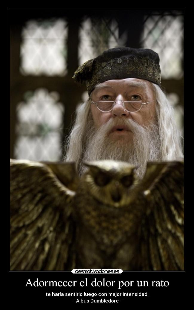 Adormecer el dolor por un rato - te haría sentirlo luego con major intensidad.
--Albus Dumbledore--