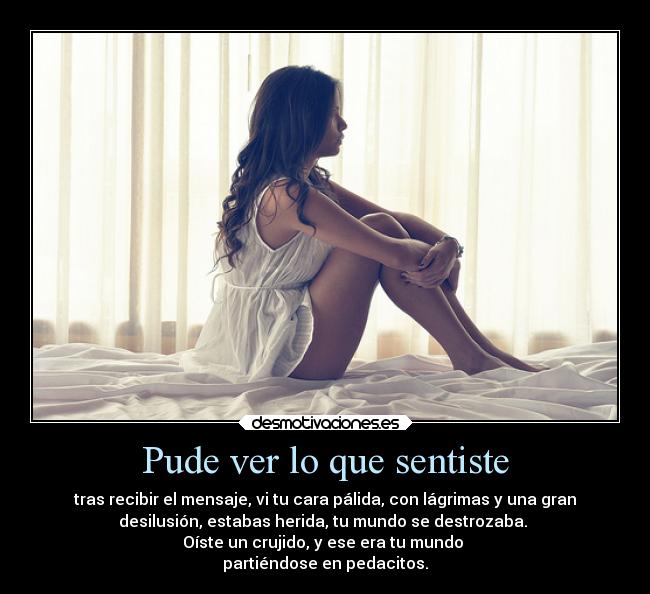 Pude ver lo que sentiste - tras recibir el mensaje, vi tu cara pálida, con lágrimas y una gran
desilusión, estabas herida, tu mundo se destrozaba. 
Oíste un crujido, y ese era tu mundo 
partiéndose en pedacitos.