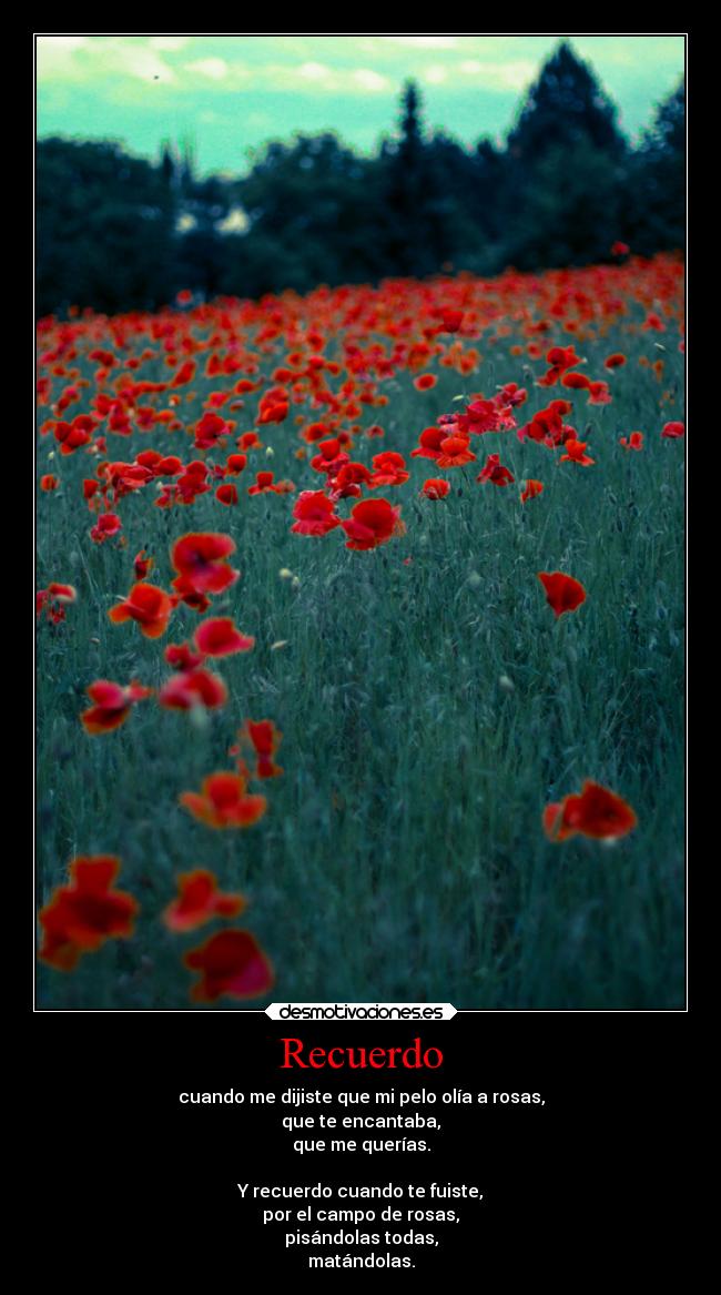 Recuerdo - cuando me dijiste que mi pelo olía a rosas,
que te encantaba,
que me querías.
Y recuerdo cuando te fuiste,
por el campo de rosas,
pisándolas todas,
matándolas.