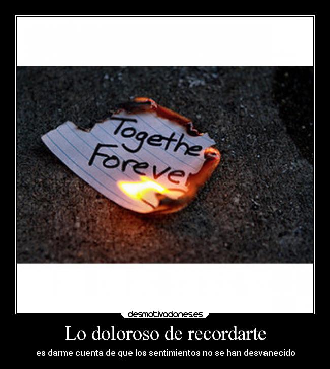 carteles dolor trying forget you desmotivaciones