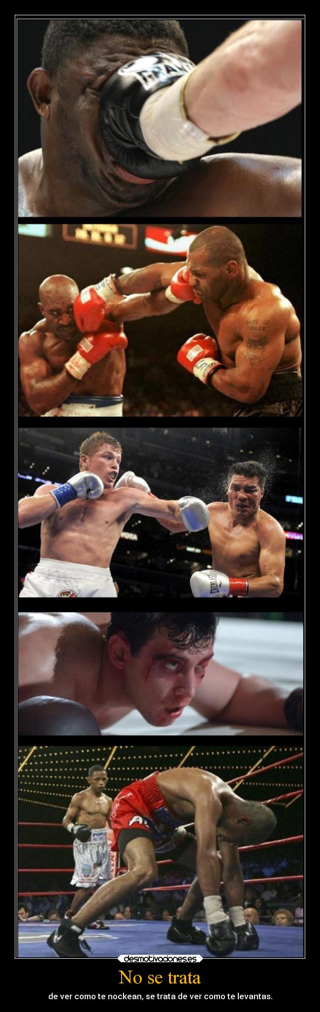 No se trata - de ver como te nockean, se trata de ver como te levantas.