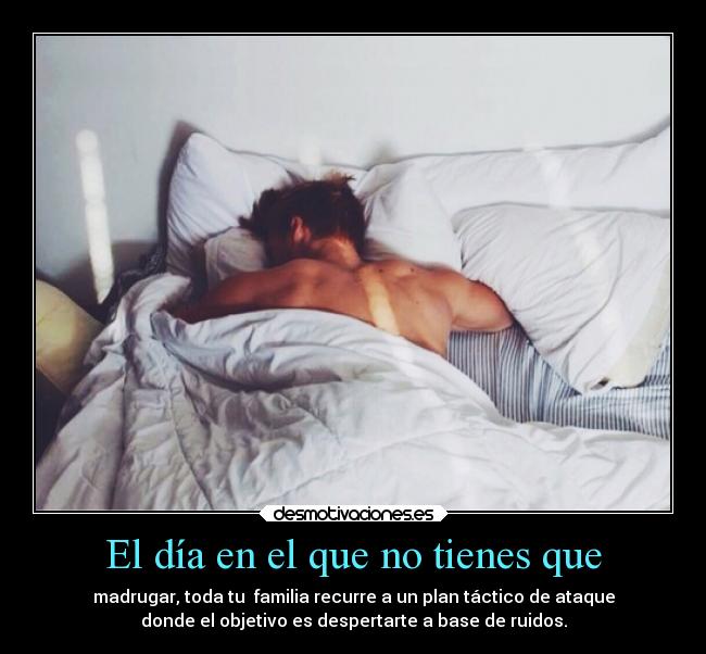 carteles dormir deboseradoptada sinoesquenoentiendoesteodioquemetienen sufromuchooooo desmotivaciones