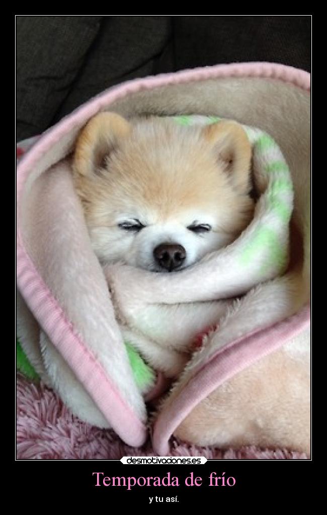 Temporada de frío - y tu así.