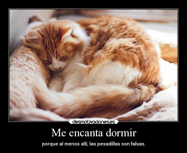 Me encanta dormir - 