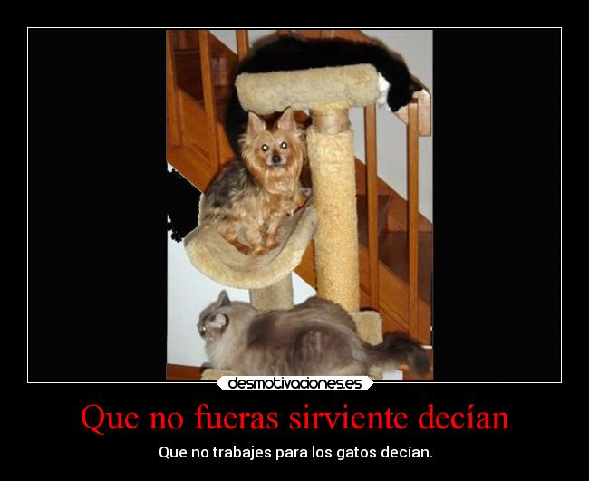 Que no fueras sirviente decían -