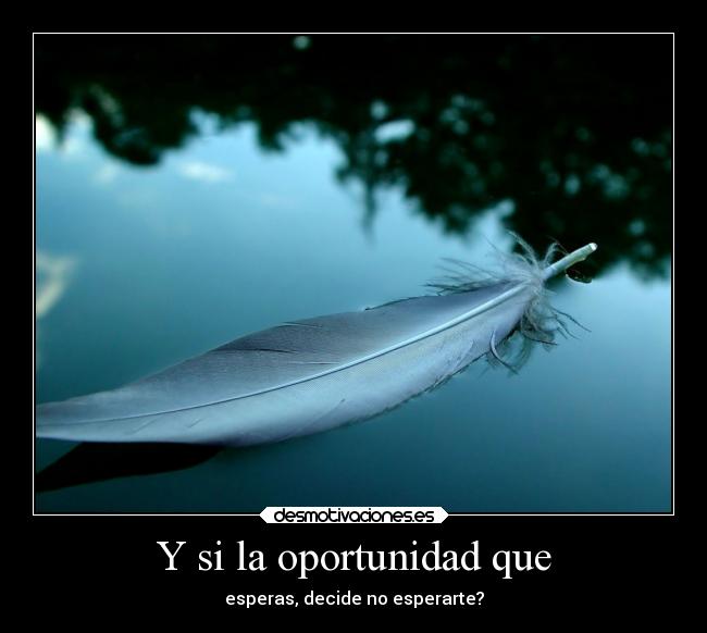 Y si la oportunidad que -