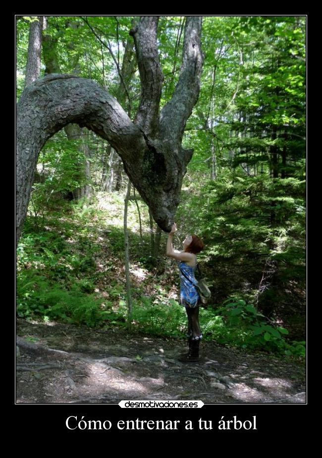 Cómo entrenar a tu árbol - 