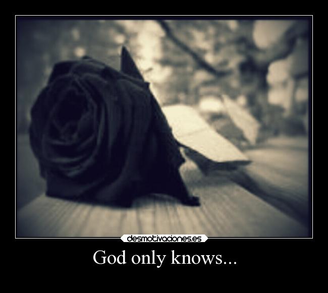 carteles esperanza noseniyoaquemerefierojaja oneechan rosa negra desmotivaciones