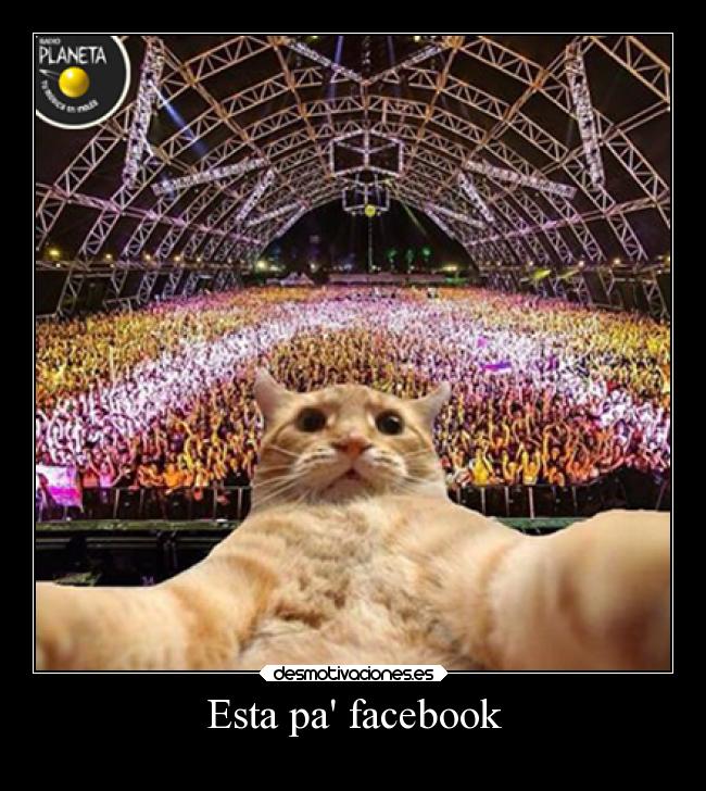 Esta pa facebook - 
