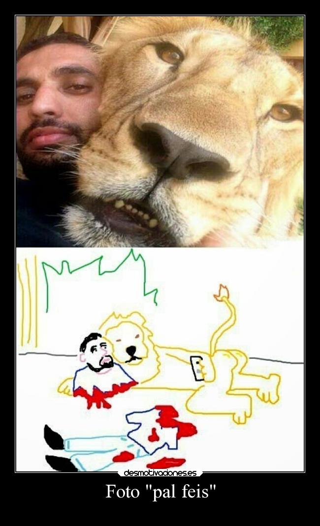 carteles fail humor desmotivaciones