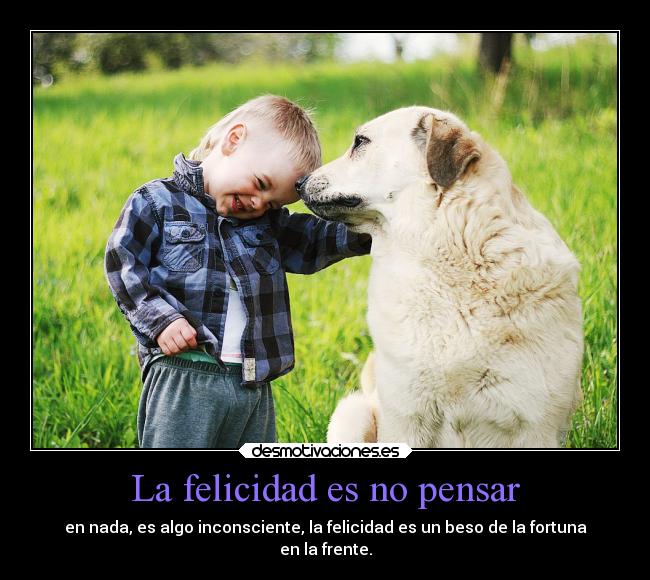 carteles felicidad alma amor perrito lalala tututu desmoc3 tequieromiamor soyloqueyodecidoser ejercitodemar pipepunki desmotivaciones