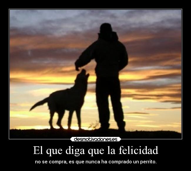 El que diga que la felicidad - no se compra, es que nunca ha comprado un perrito.