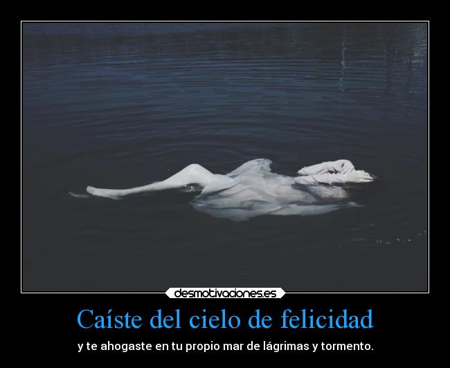 Caíste del cielo de felicidad - y te ahogaste en tu propio mar de lágrimas y tormento.