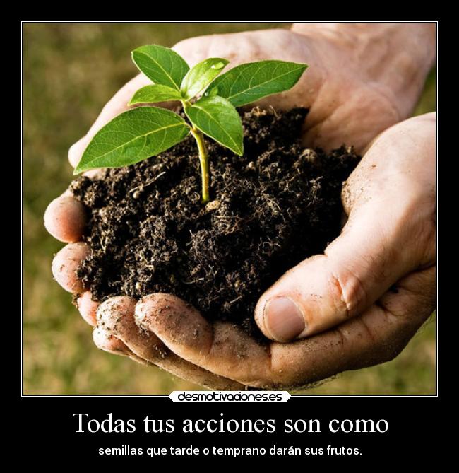 Todas tus acciones son como - semillas que tarde o temprano darán sus frutos.