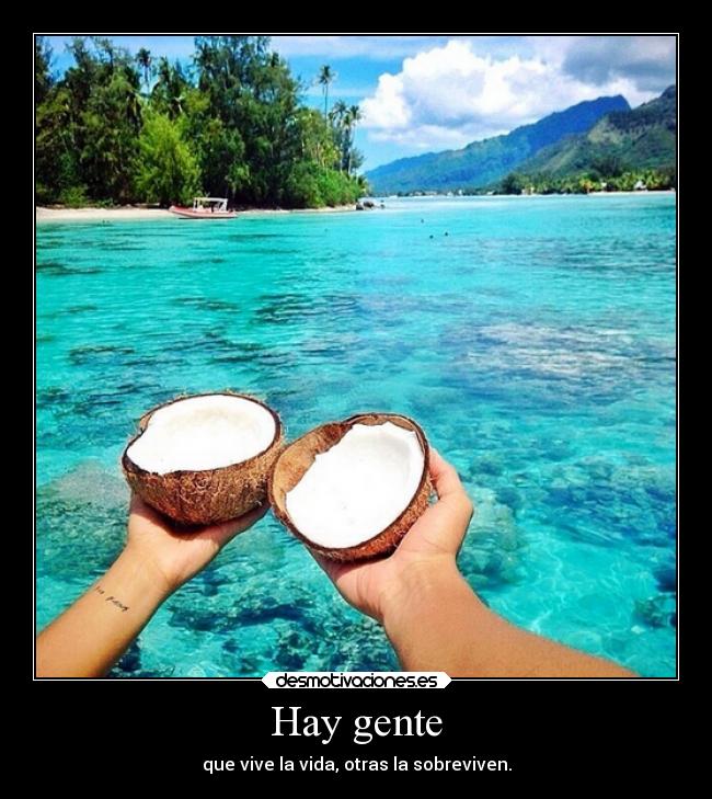 carteles frases masexoymenostonterias desmotivaciones