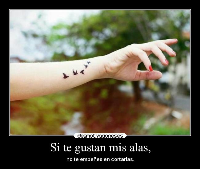 Si te gustan mis alas, -