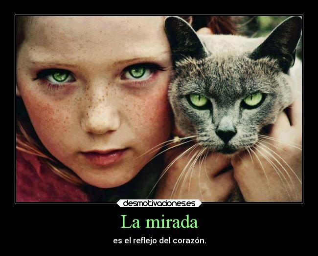 La mirada - es el reflejo del corazón.