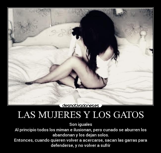 carteles gatos alma odio gatos amor sufrimiento mujeres rencor ilusion triztesa ira abandono proteccion desmotivaciones
