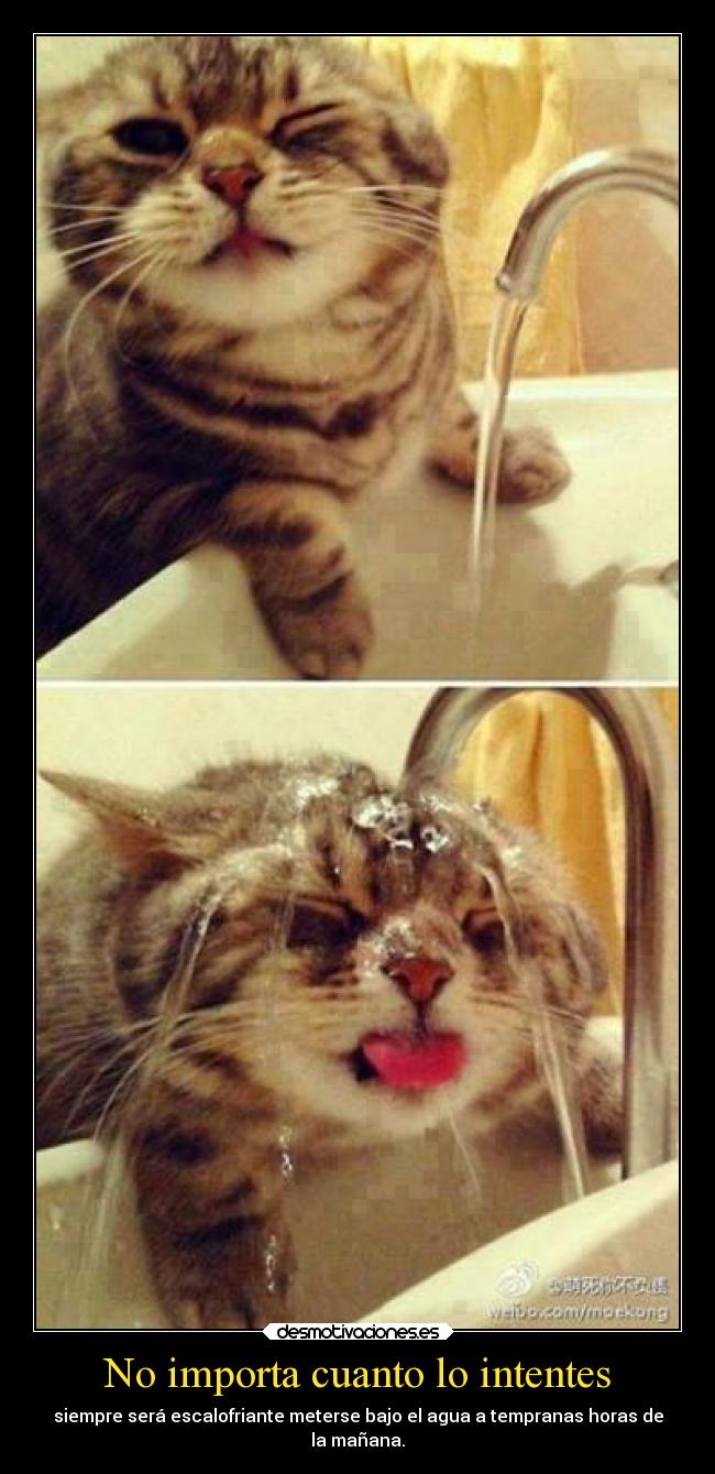 No importa cuanto lo intentes - siempre será escalofriante meterse bajo el agua a tempranas horas de
la mañana.